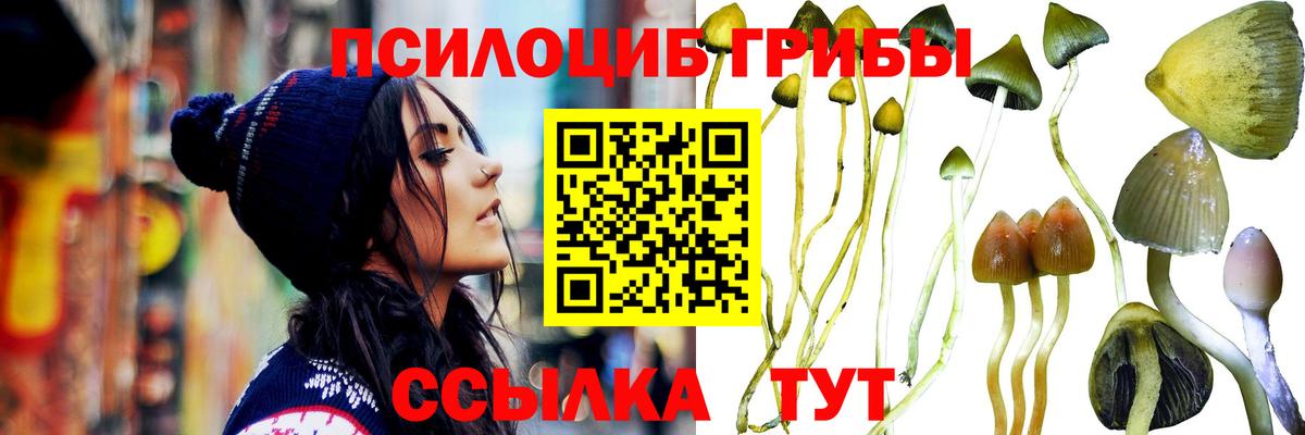 Москва  Псилоцибиновые грибы прущие грибы  как найти закладки  Вход с VPN 